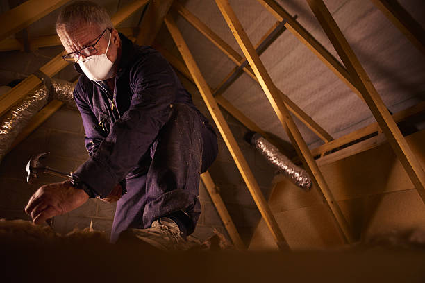 Best Spray Foam Insulation in Wellington, CO